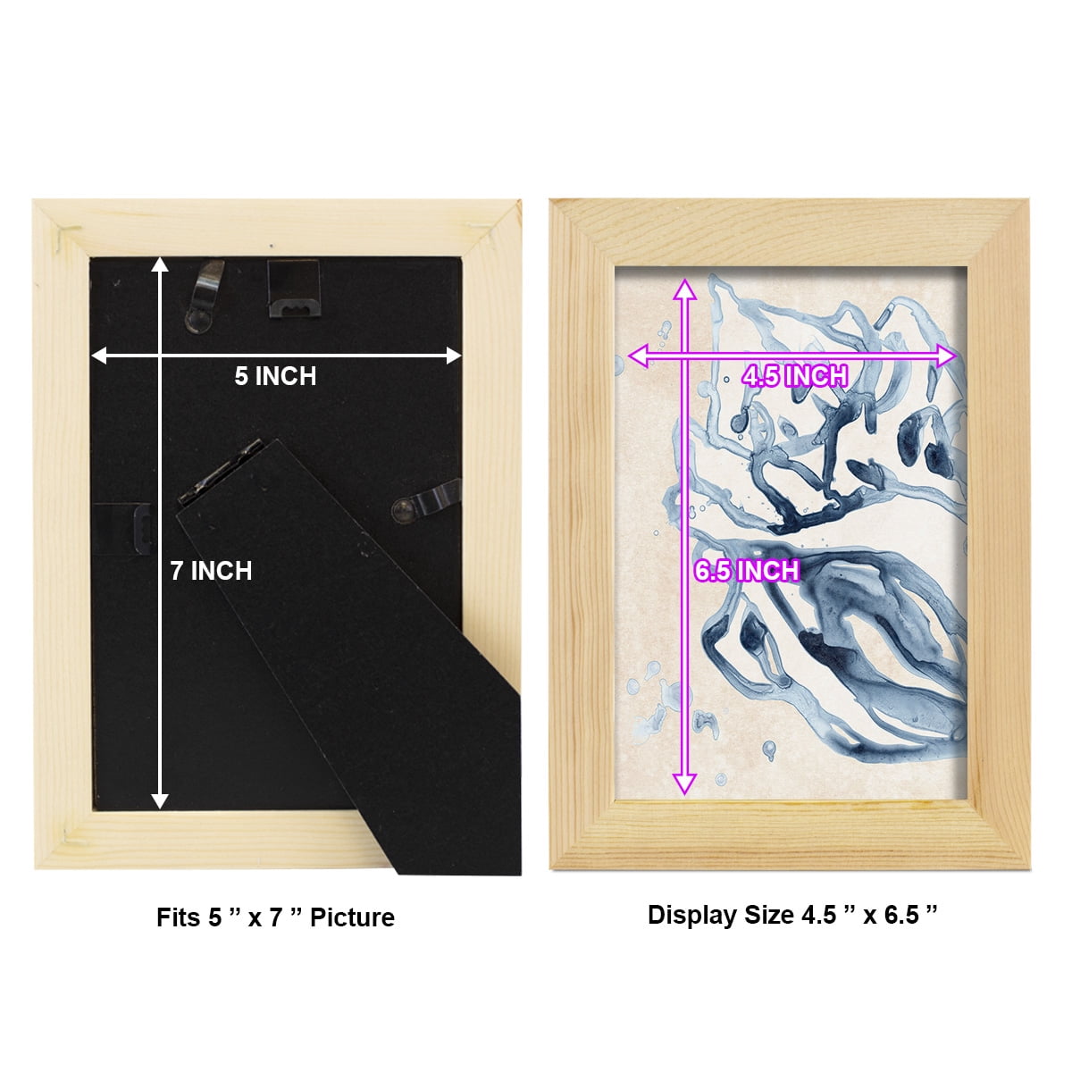 Water Shells II - Framed Print w/glass - Natural Wood