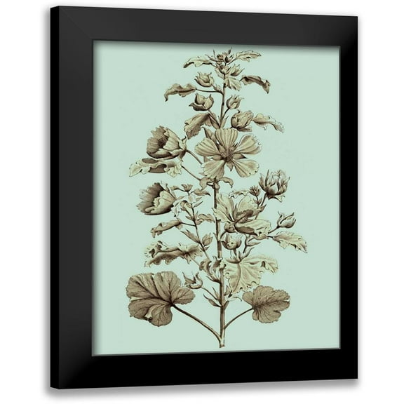 Munting, Abraham 12x14 Black Modern Framed Museum Art Print Titled - Imperial Munting I