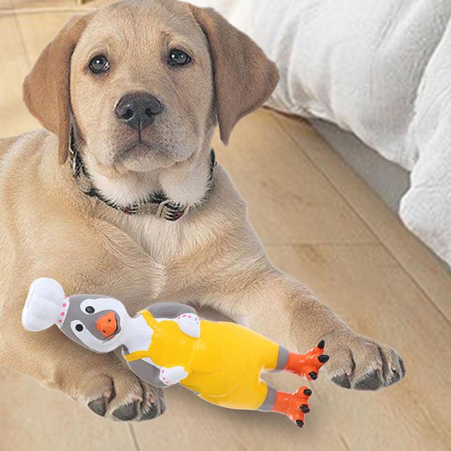 Juguete de pollo graznador, juegos de látex para el patio trasero de pollo, juguete para masticar para perros, juguete divertido y novedoso, juegos cocinero