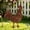 🔥 Coffee A_New, variant on YYV Gifts Rustic Metal Rooster Garden Stake With Signboard Weatherproof Painted Iron Rooster Yard Art Farmhouse Lawn Accent Decorative Stake For Patio Garden Display