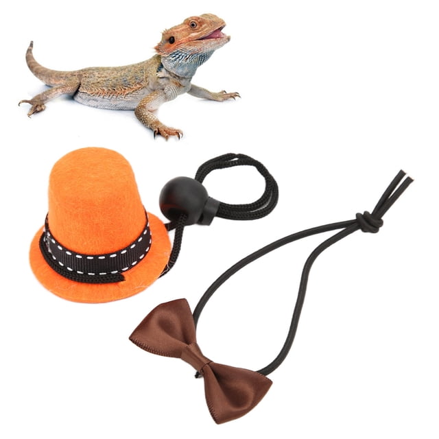 Adjustable Reptile Hat and Bowtie for Lizards, Hamsters Premium Material, Lovetiful Design, High Applicability Perfect for Celebrations, Role Playing