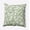 Fresh Green, variant on 16" x 16" Simply Daisy Evelyn Polyester Accent Pillow, Doe Qty 1