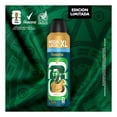 thumbnail image 3 of Desodorante Antitranspirante Aerosol Rexona XtraCool de 210 ml, 3 of 6