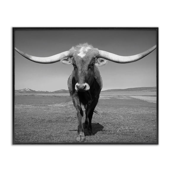 Stupell Industries Rustic Lodge Longhorn in Countryside Black Framed Giclee Art, 20 x 16, by Steve Toole