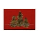 thumbnail image 2 of mfyjkho Felpudo decorativo navideño, alfombra de baño de poliéster, antideslizante, para entrada, festivo, fácil de limpiar, 42 x 75 cm (1 unidad), 2 of 6