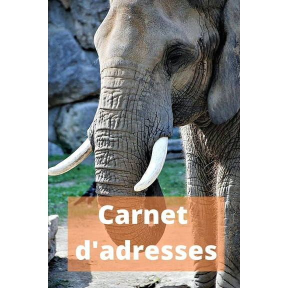 Carnet d'adresses: Répertoire téléphonique alphabétique éléphant animaux sauvages d'Afrique (Paperback)