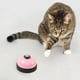 thumbnail image 5 of Dispositivo de entrenamiento con botón para mascotas | Herramienta de comunicación para perros y gatos | Dispositivo interactivo de entrenamiento con pulsación de pata para recordar ir al baño, 5 of 5