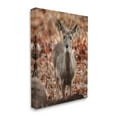 thumbnail image 4 of Stupell Industries Fawn in Autumn Nature Animals & Insects Photography Gallery Wrapped Canvas Print Wall Art, 24 x 30, 4 of 8