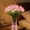 Pink-5 Flowers, variant on Radiant Romantic Tulip Light, Artificial Tulip Night Light Flower Lamp for Bedroom and Table Decor, Flowers only; vase is not included.