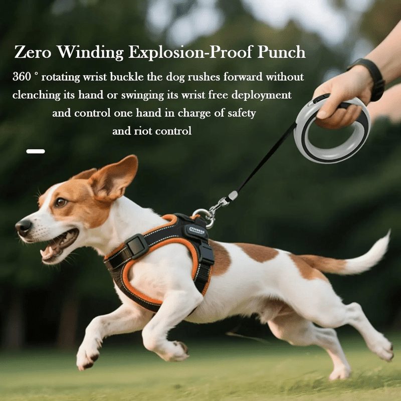 Retractable Dog Lead Heavy-Duty Extendable Dog Leads Strong Nylon Tape Leash One-Handed Brake  Lock Tangle-Free Design for Small