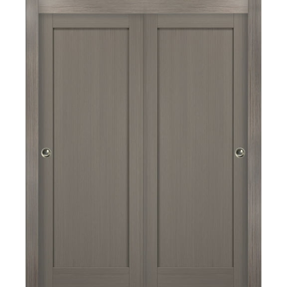 Sliding Closet Bypass Doors 48 x 80 with hardware | Quadro 4111 Grey Ash | Sturdy Top Mount Rails Moldings Trims Set | Kitchen Wooden Solid Bedroom Wardrobe Doors