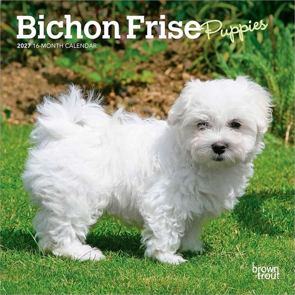 Bichon Frise Puppies | 2027 7x14" (Hanging) Mini Wall Calendar