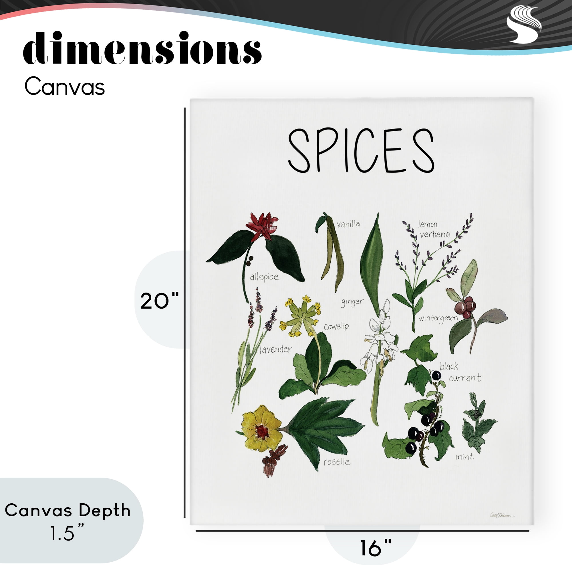 Stupell Industries Spices Identification Chart Canvas Wall Art, design by Carol Robinson