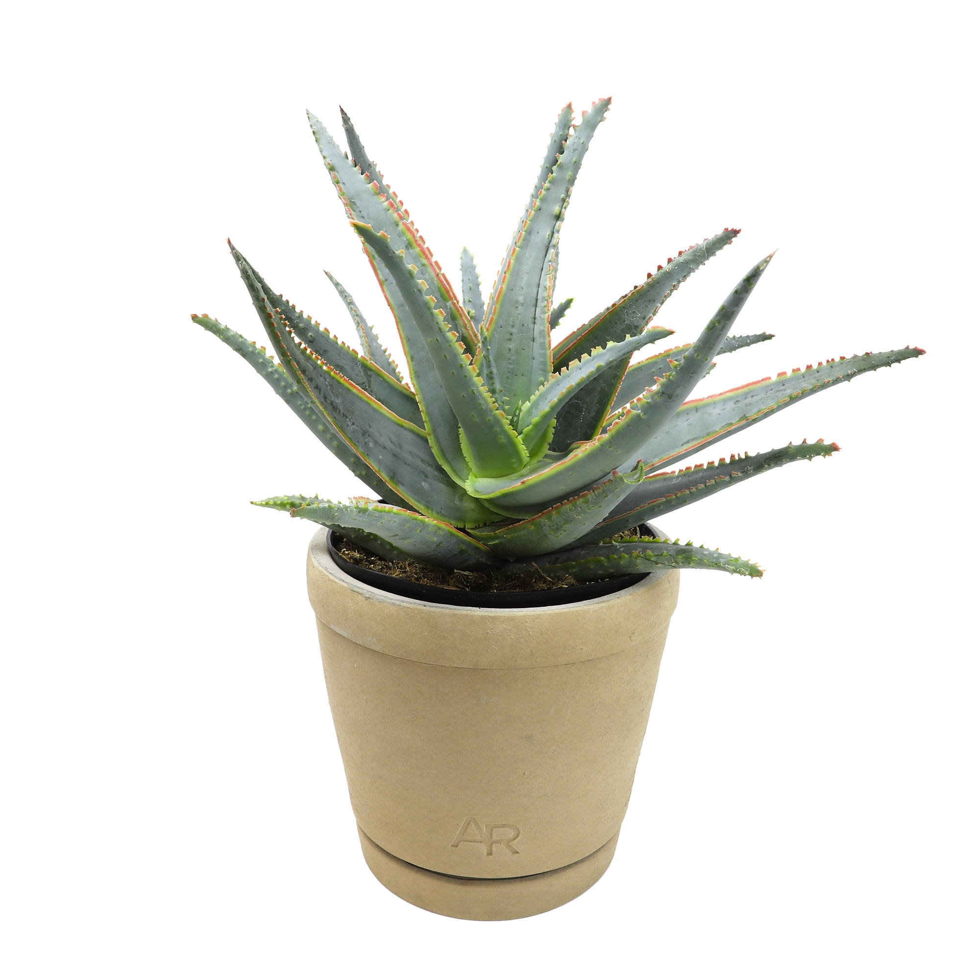 Altman Plants 2.5 Altman Plants 2.5