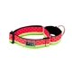 thumbnail image 1 of Collar de entrenamiento para perros RC Pets Martingale de 1,, 1 of 3