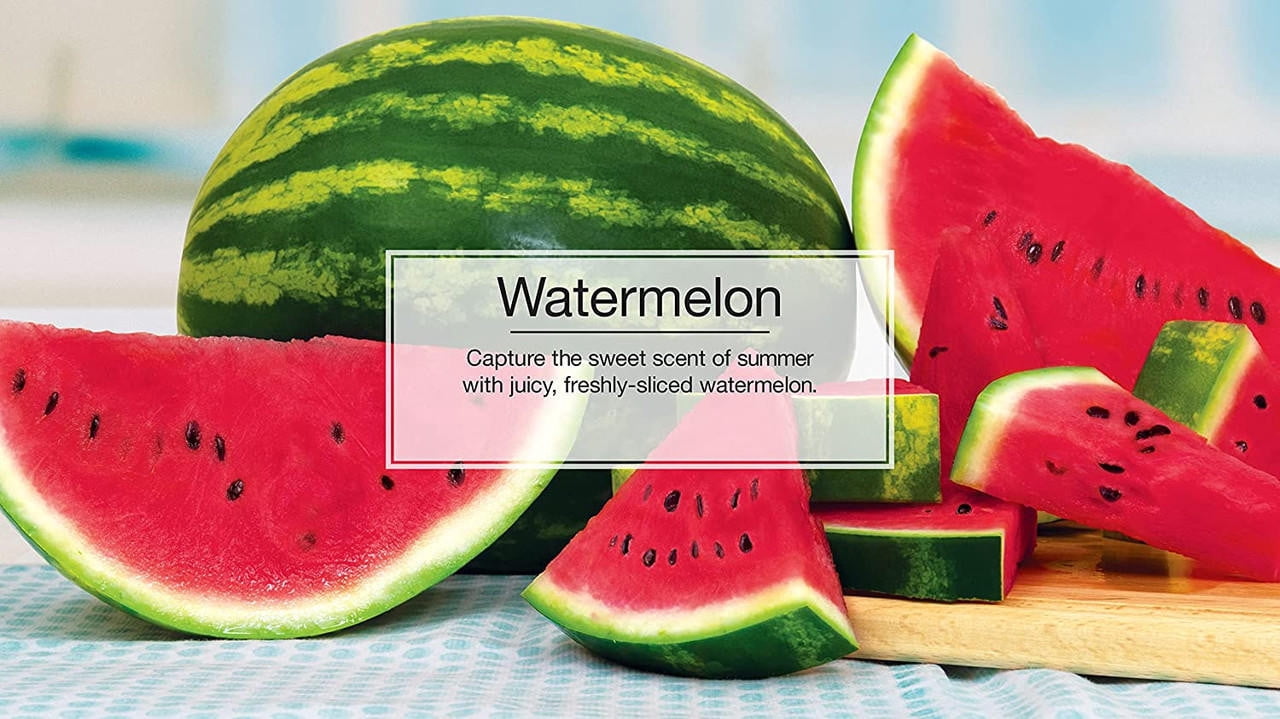 Little Trees Vent Wrap Watermelon Scent Air Freshener for Car & Home - 36 Pack!