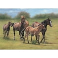 thumbnail image 2 of Jackson 32x24 White Modern Wood Framed Museum Art Print Titled - Running Horses, 2 of 4