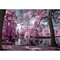 thumbnail image 2 of Gee, Tonee 14x11 Black Ornate Wood Framed with Double Matting Museum Art Print Titled - Bordeaux s Park - Infrared Photography, 2 of 4