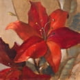 thumbnail image 3 of Loreth, Lanie 12x12 Black Modern Framed Museum Art Print Titled - Crimson Fleurish II, 3 of 5