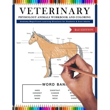 Veterinary Anatomy Coloring Book (Edition 2) (Paperback) - Walmart.com