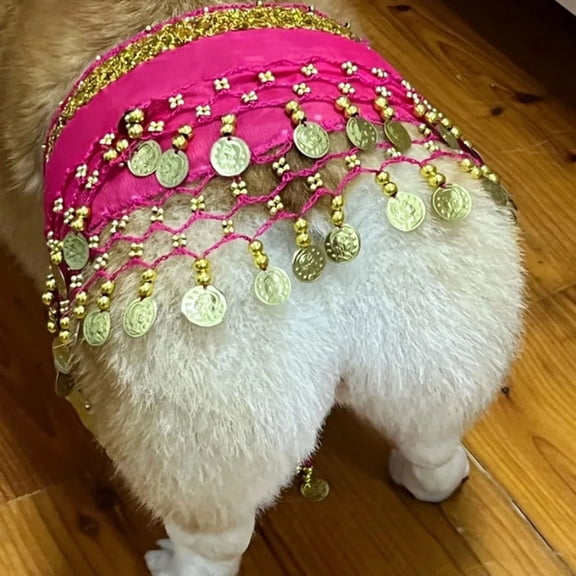 Pet Clothes Catalog Playful Belly Dance Dog with Waist Chain Draped Sequin and Shimmering Scarf for Pet Party, 105 cm, Blue
