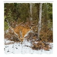 thumbnail image 3 of Ambesonne Savannah Shower Curtain, Bengal Tiger Wild Animal, 69"Wx70"L, Orange Green, 3 of 5