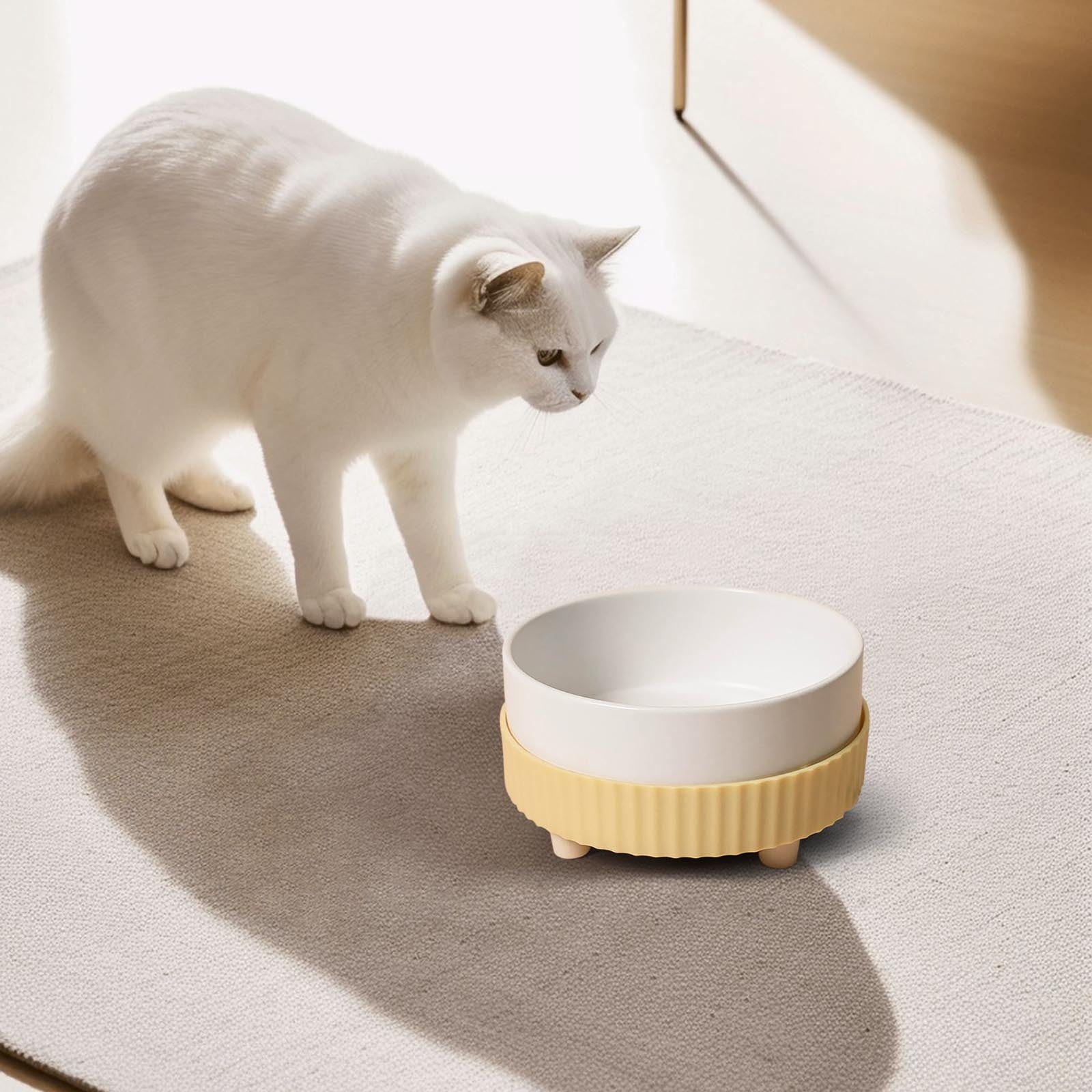Ceramic Heated Raised Bowl for Cats & Dogs - Elevated Warming Food and Water Dish, Dishwasher Safe Indoor Pet Feeder for Winter