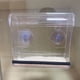 thumbnail image 5 of Comedero de Acrílico Transparente con Ventosas Resistentes y Bandeja con Orificios de Drenaje., 5 of 6