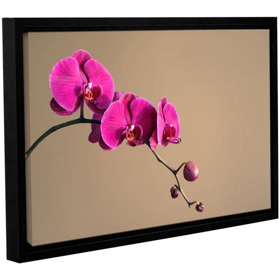 ArtWall Elena Ray "Magenta Orchid" Gallery-Wrapped Floater-Framed Canvas