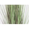 thumbnail image 4 of Artificial red Pampas Grass | 68” | Tall faux grass in planter| Home Decor By Vintage Home, 4 of 8