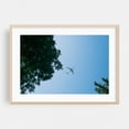 thumbnail image 2 of A Descent Through Canopy - Portland Oregon Photography Airplane Nature Minimalist Unframed Wall Art Print 20 x 28 inches, 2 of 7