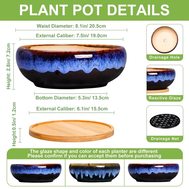 7 Inch Round Ceramic Succulent Planter with Bamboo Tray photo 3