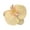 Yellow, variant on Bradem Butterfly Orchid Flower Hair Clips torrid Multi-Colored,Flower Hair Accessories