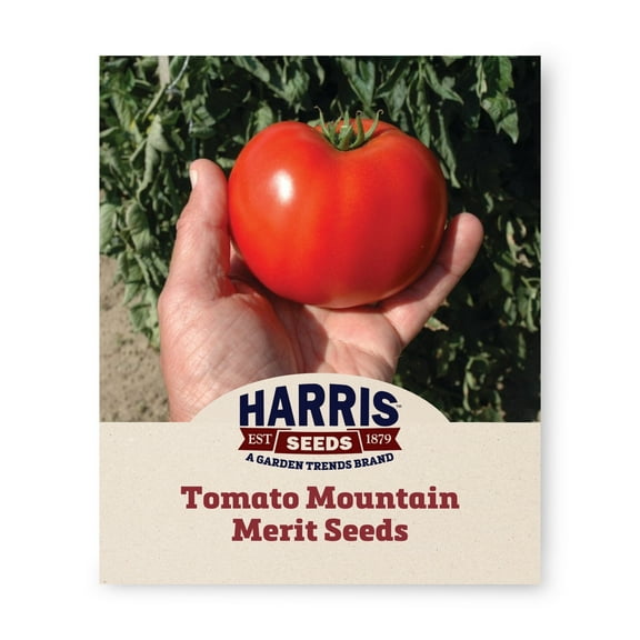 Tomato Seeds - Mountain Merit Unt Non-GMO Variety Tomato Seeds - Non-GMO - 50 Seeds