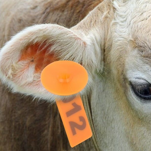 Kritne Pig Ear Tag, 100 Sets TPU Livestock Ear Tag Tagger for Pig Sheep