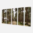 thumbnail image 2 of Date Palm Plantation Photography - Modern Forest Canvas Art, 2 of 3
