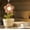 B, variant on DAMAI Cute Flower Mini Humidifier, USB/Plug-In Portable Flower-Shaped Humidifier with Warm Night Light, Silent Desktop Humidifiers Cool Mist for Home, Bedroom, Office Desk & Indoor Plants