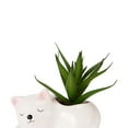 thumbnail image 2 of Anko Artificial Cat Succulent, 2 of 4