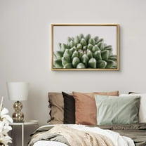 PixonSign Framed Canvas Print Wall Art Green Brevifolia Succulent Botanical Wilderness Photography Realism Contemporary Portrait Colorful Cool for Living Room, Bedroom, Office - 24"x36" Natural