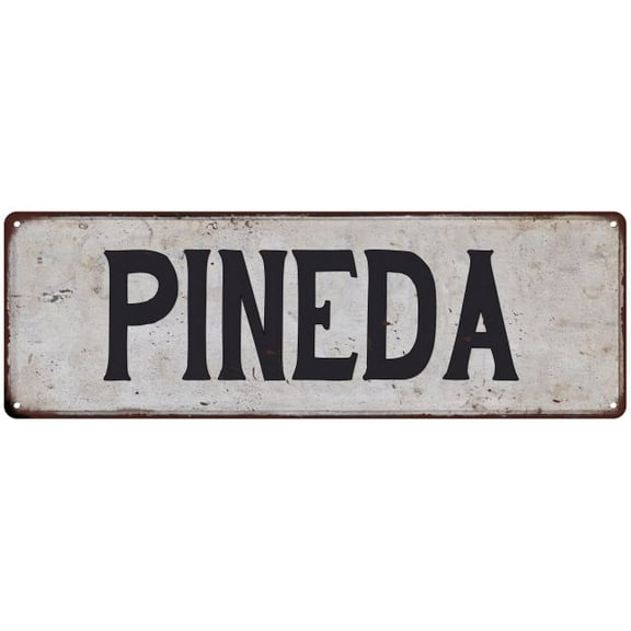PINEDA Vintage Look Gift Rustic Chic Metal Sign 6x18 206180036566