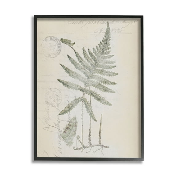 Stupell Industries Vintage Post Card Fern Leaf Botanical & Floral Drawing Black Framed Art Print Wall Art