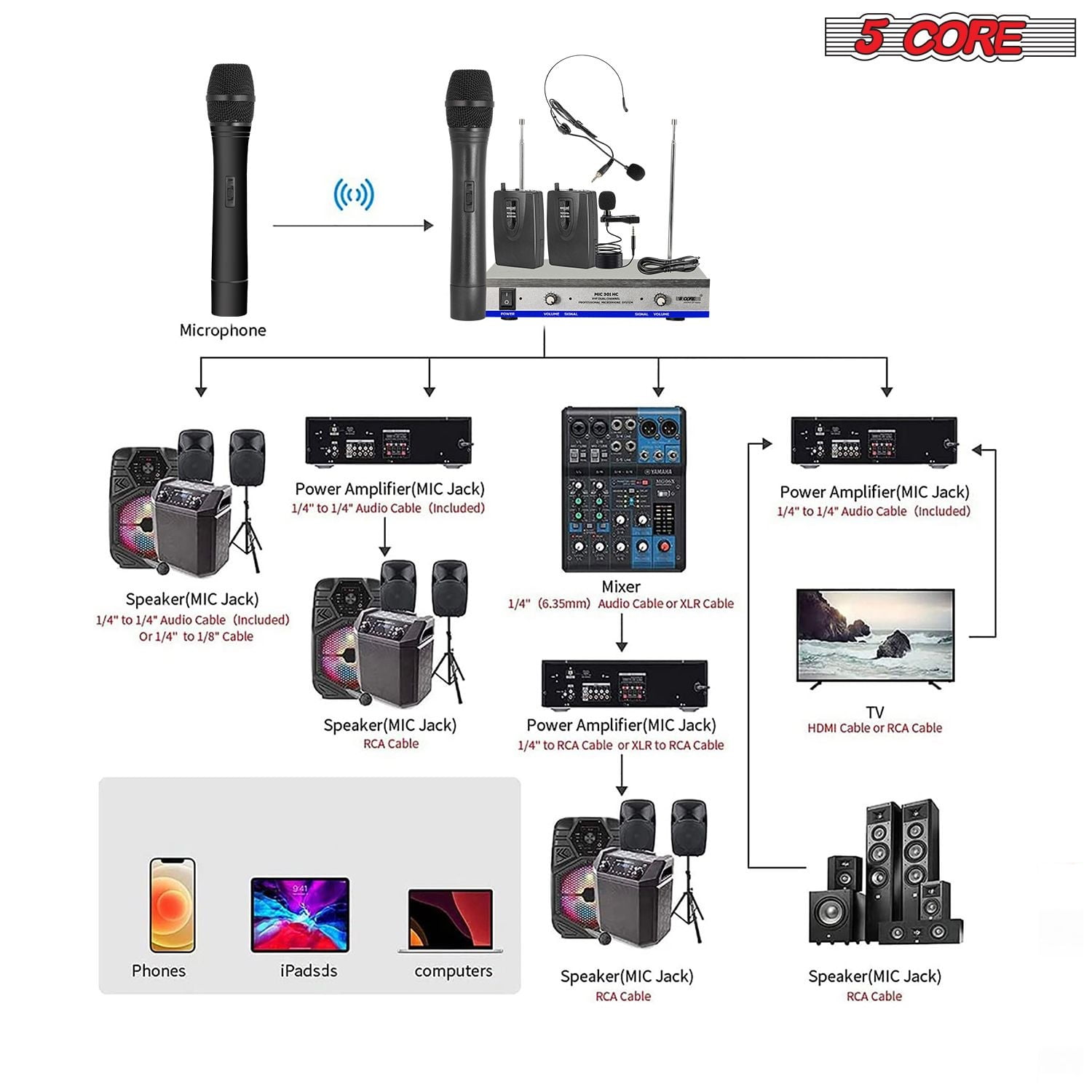 Wireless Microphone Dual Handheld Mic Cordless Receiver Dj Karaoke Singing Microphones WM 301 HC