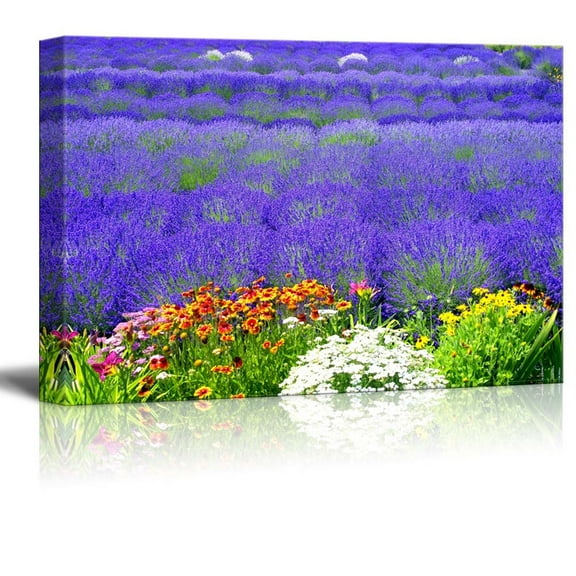 Canvas Prints Wall Art - Beautiful Scenery of Lavender Field with Multicolored Flowers | Modern Wall Decor/Home Art Stretched Gallery Canvas Wraps Giclee Print & Ready to Hang - 16" x 24&quo