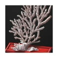 thumbnail image 4 of Coral Reef Reflection - Canvas, 4 of 25