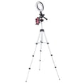 thumbnail image 2 of Portable 5.7 Inch Durable Ring Light, LED Ring Light, Bedroom Make Up Bathroom For Home, 2 of 8
