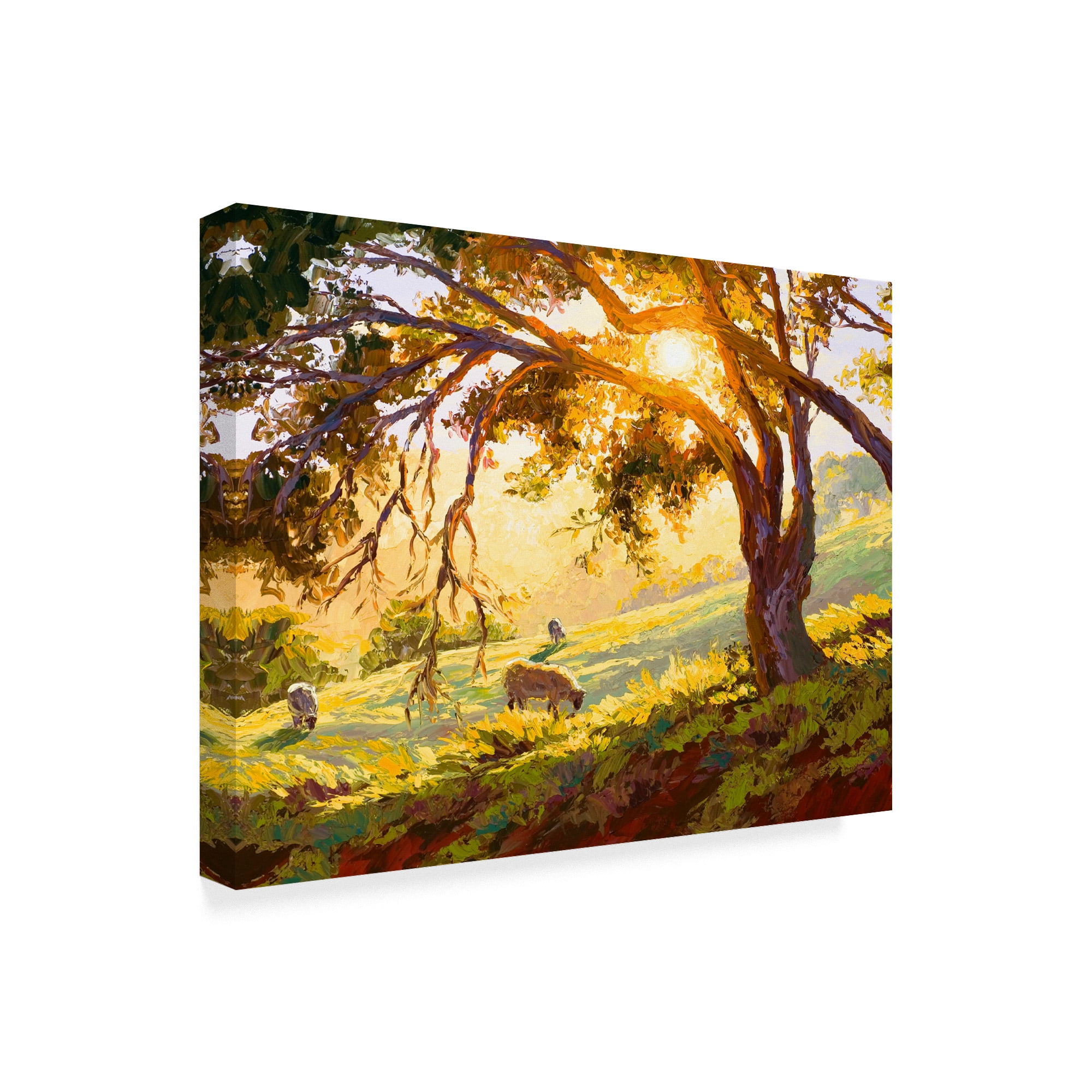 Trademark Fine Art 'Restful Radiance' Canvas Art by Erin Dertner