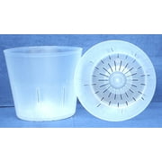 Clear Plastic Pot for Orchids 4 inch Diameter - Quantity 2
