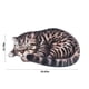 thumbnail image 3 of Alfombra de Bienvenida con Diseño de Gatito En 3D, 40 X 76 Cm, Antideslizante, Ideal para El Verano. Alfombra Divertida y Original para Interiores y Exteriores., 3 of 7