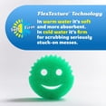 thumbnail image 3 of Sponge Scrub Daddy Color Antiarañazos para cocina (3 unidades), 3 of 8