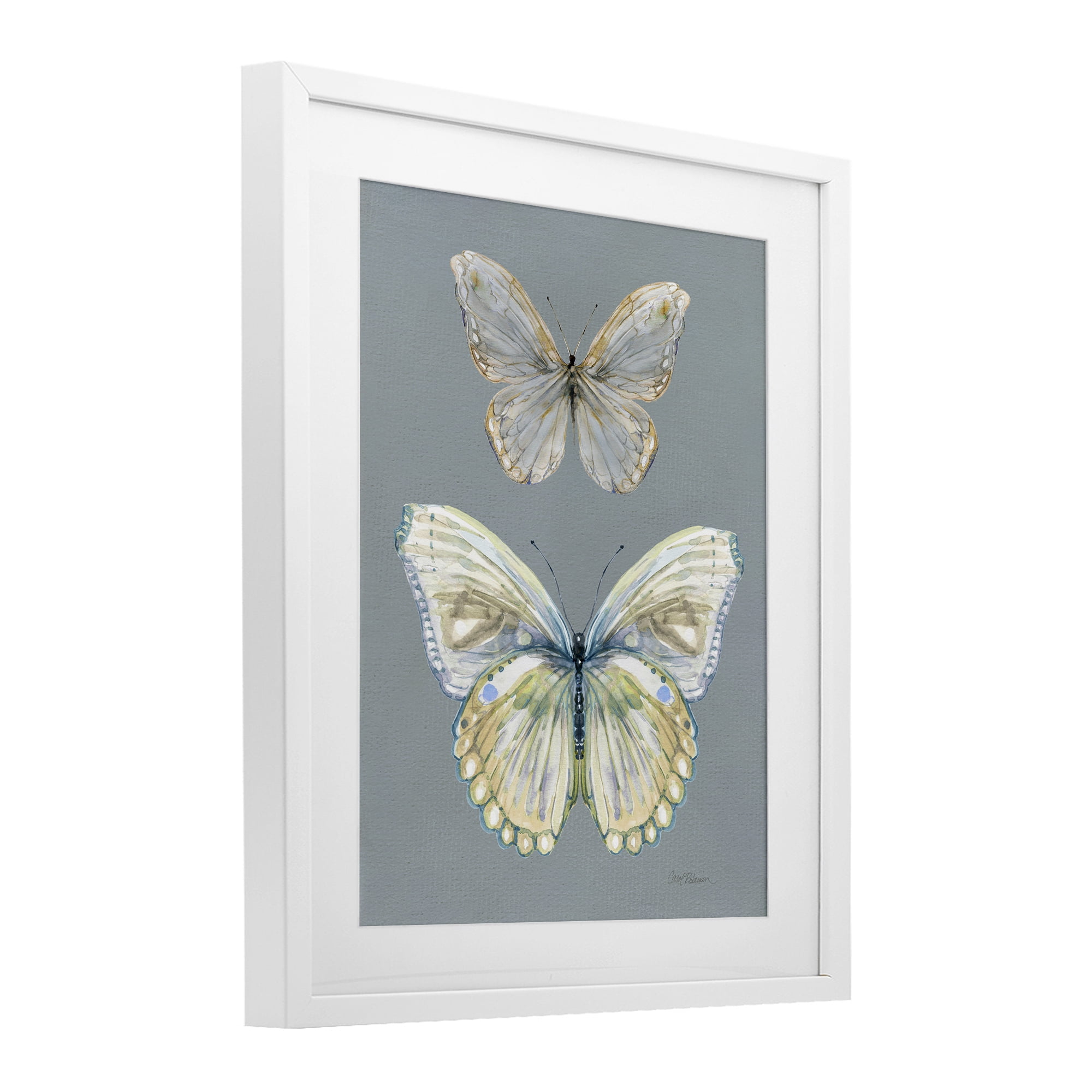 Stupell Industries Butterfly Pair Study White Framed Print Under Glass, design by Carol Robinson